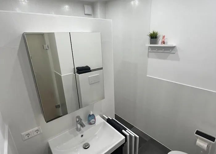 Live-in 5 ホームステイ