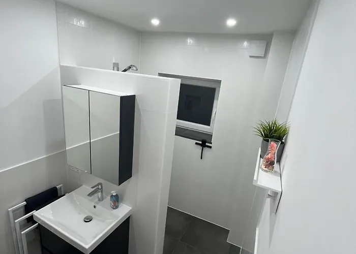 Live-in 5 ホームステイ